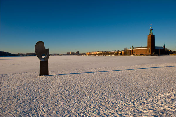 11jan2010_stockholm2010_0558