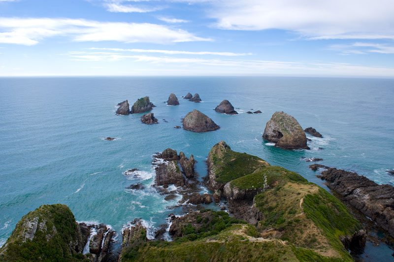 nugget-point